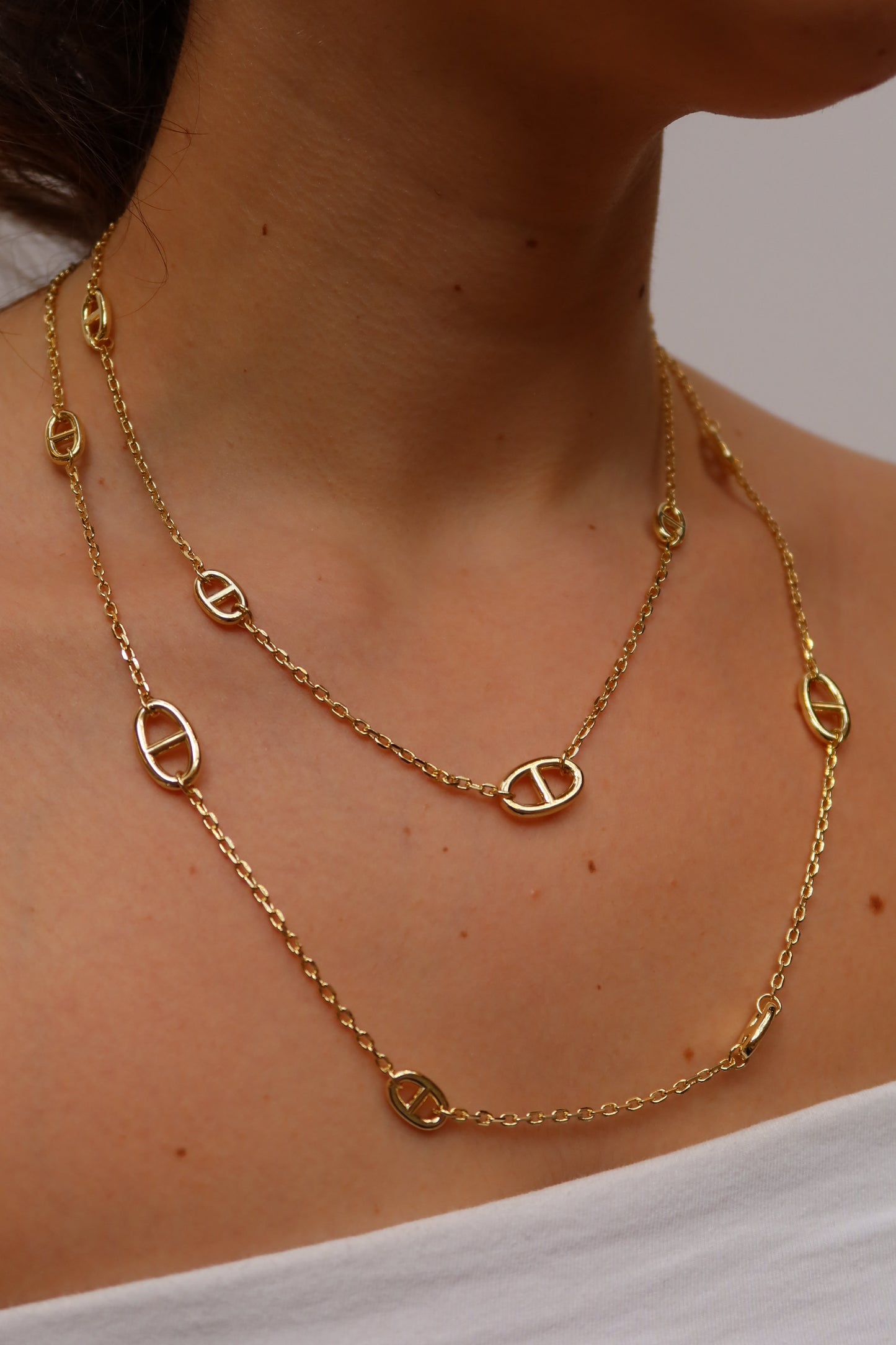 Signature Long Link Necklace