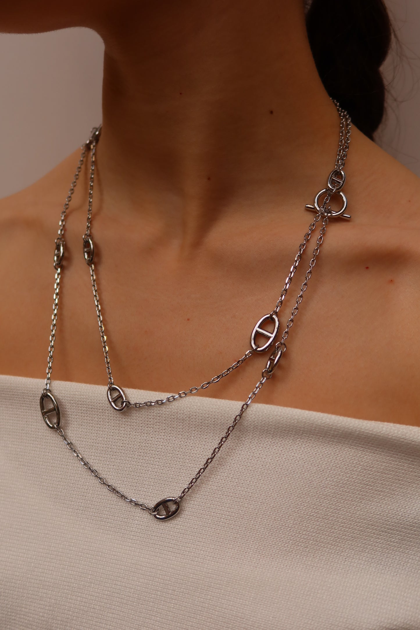 Signature Long Link Necklace