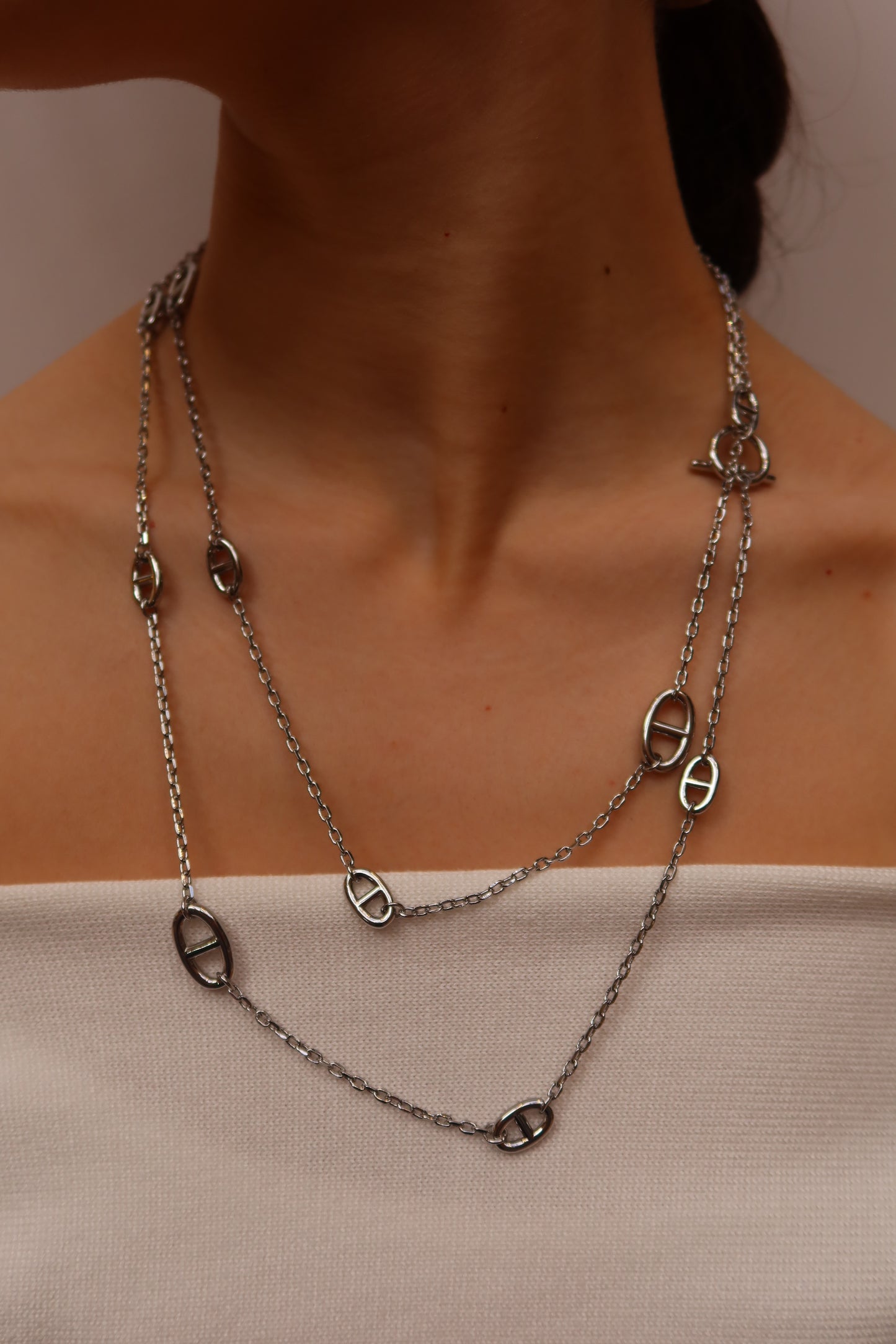 Signature Long Link Necklace