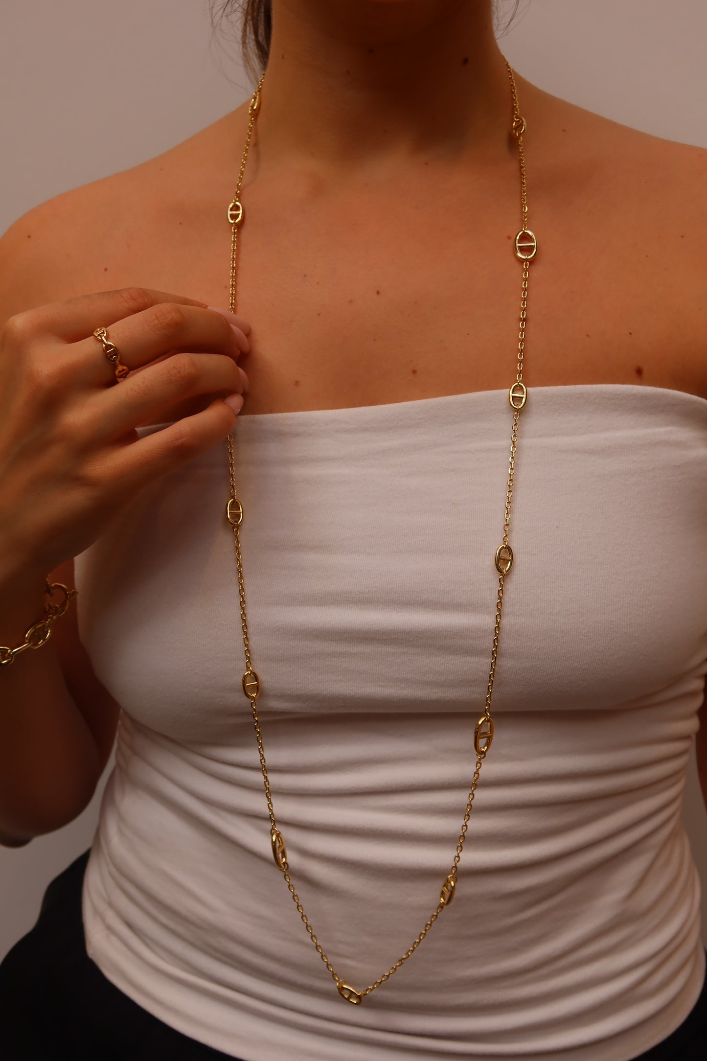 Signature Long Link Necklace