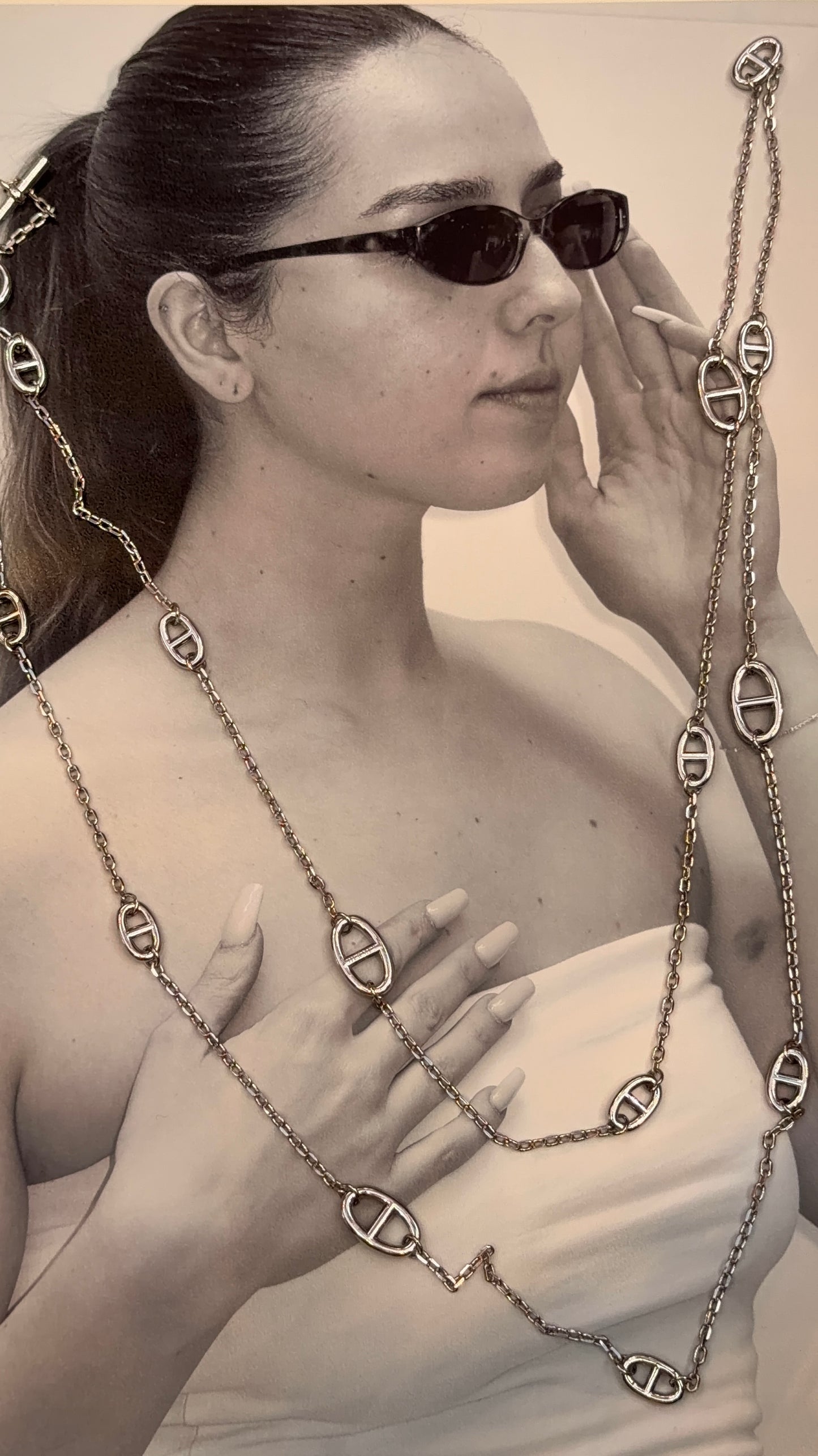 Signature Long Link Necklace