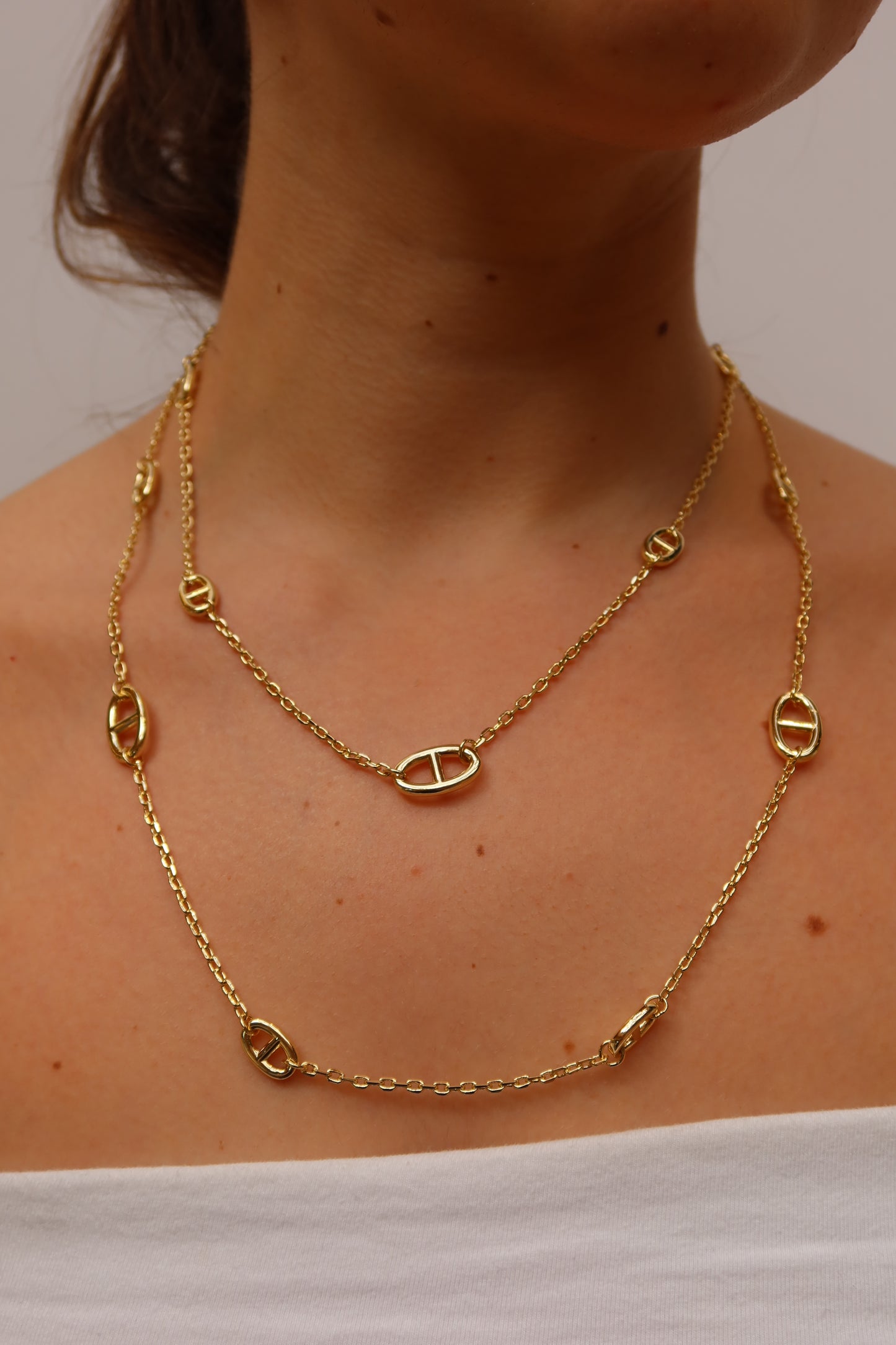 Signature Long Link Necklace