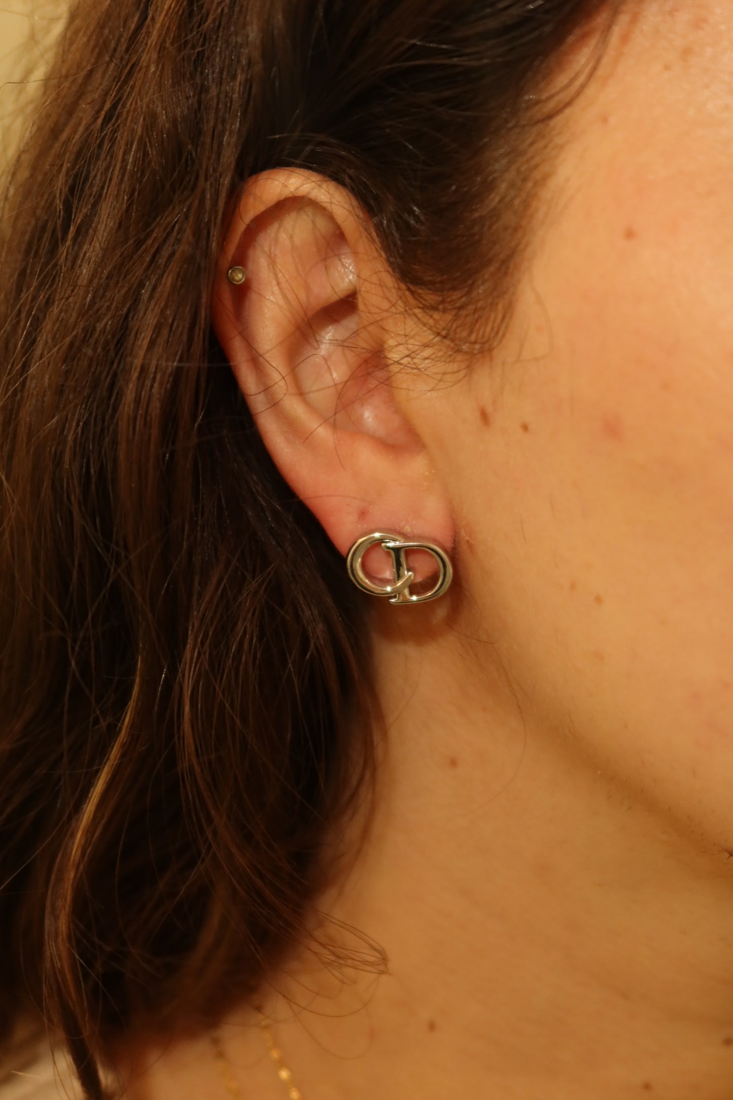 CD Earrings