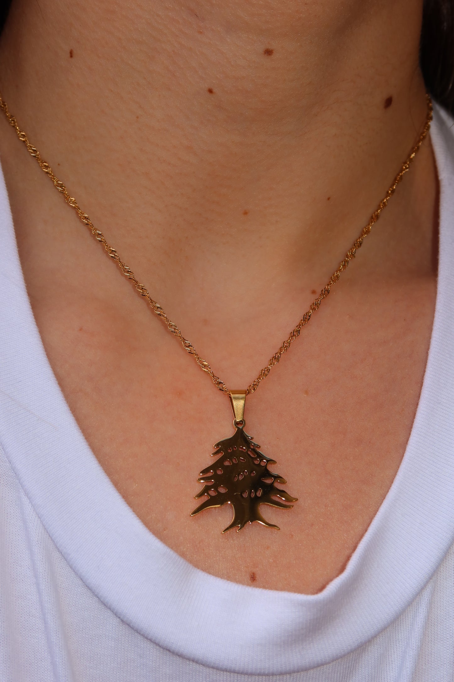 Cedar Tree Necklace