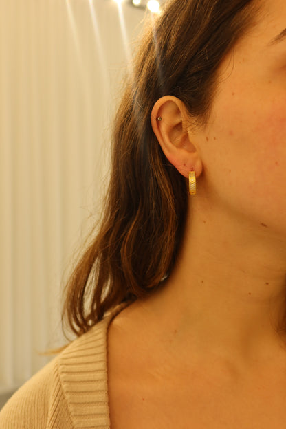 Crystal Huggie Earings