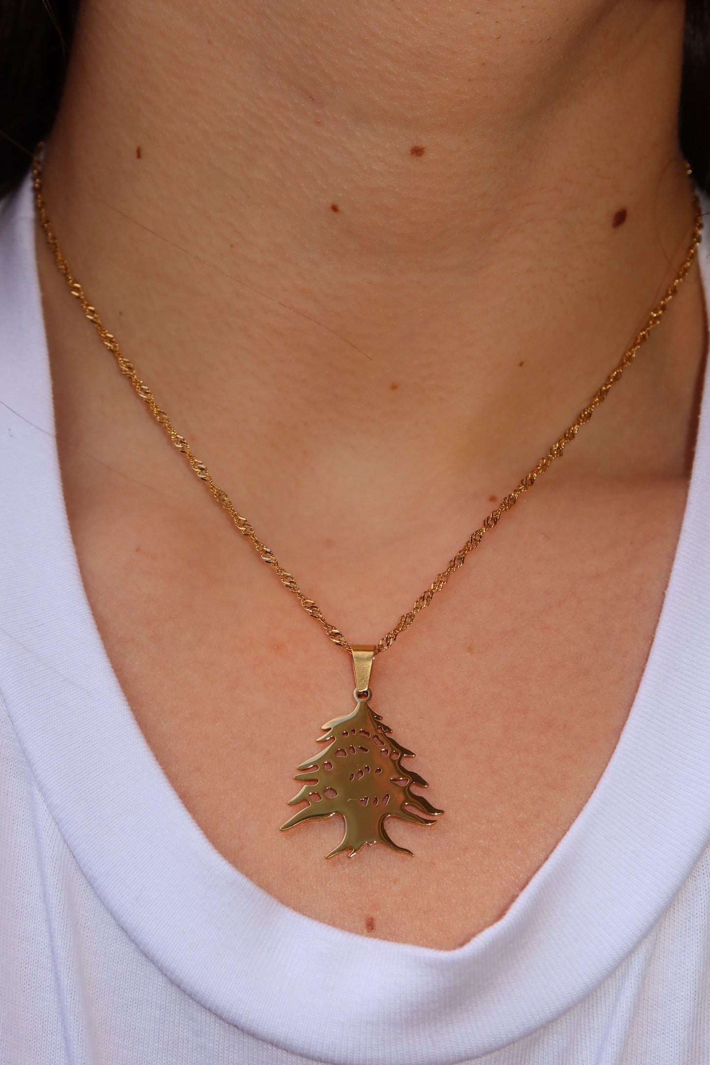Cedar Tree Necklace
